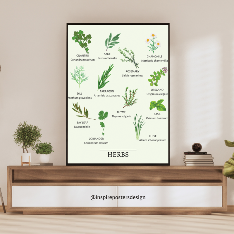 Herbs Poster