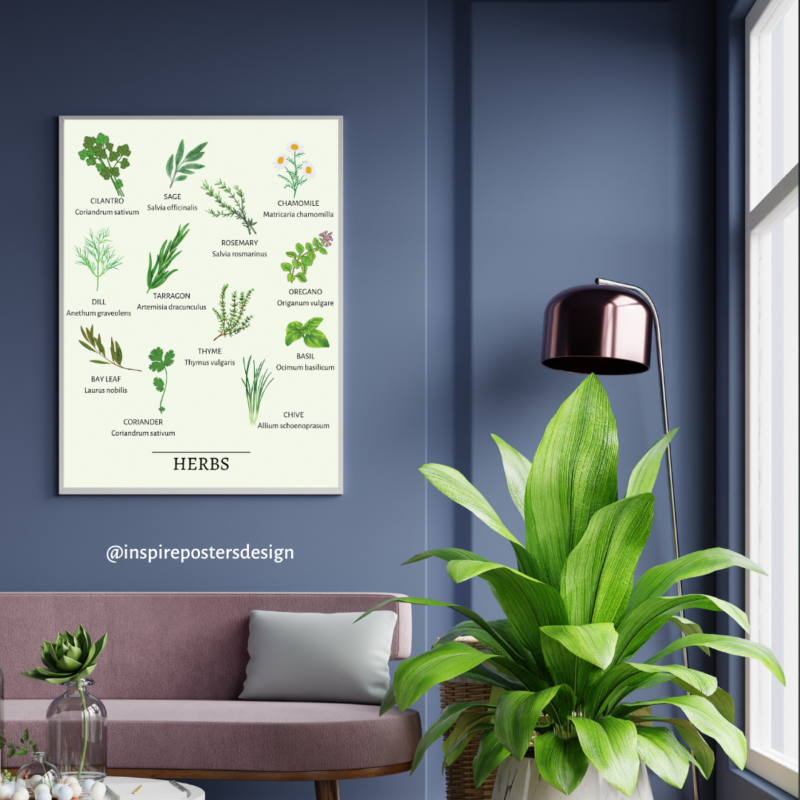 Herbs Poster